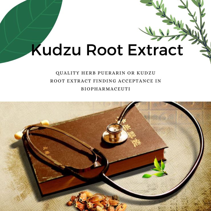 Kudzu Root Extract