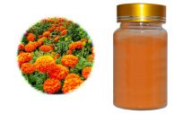 marigold-extract-lutein