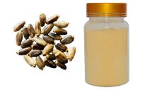 milk-thistle-extract