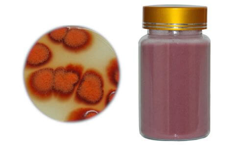 red-yeast-rice-powder