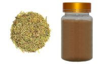 rosemary-leaf-extract