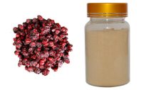 schisandra-chinensis-extract