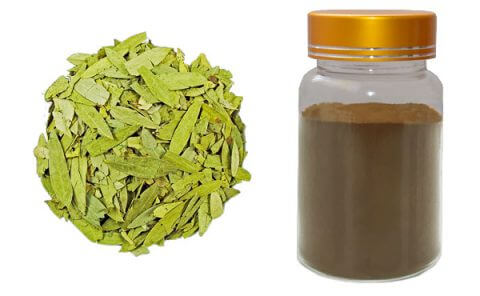 senna-leaf-extract
