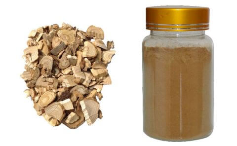 siberian-ginseng-extract