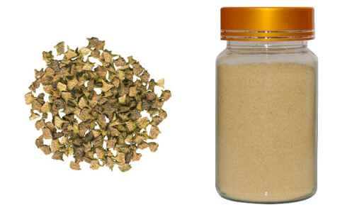 tribulus-terrestris-extract