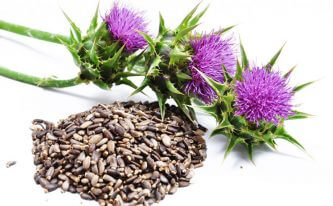 Silymarin: Your guide to buying the extract of Milk Thistle