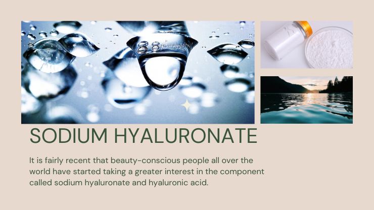 Sodium Hyaluronate