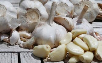 How Garlic Extract prevent Cancer
