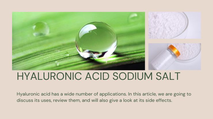 Hyaluronic Acid Sodium Salt