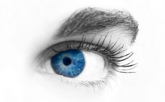 A Natural Supplement for Healthy Eyes- China Bilberry Extract