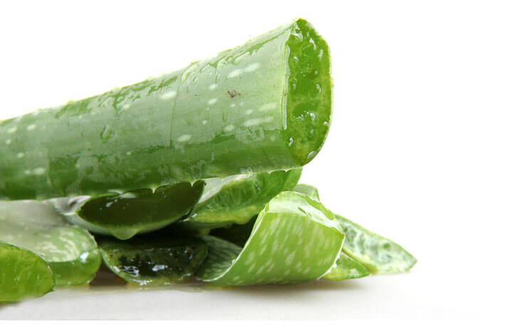 Aloe Vera extract