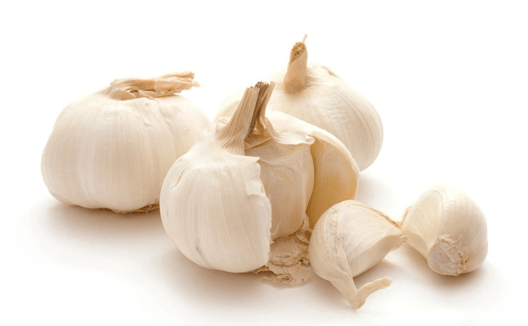 garlic extract