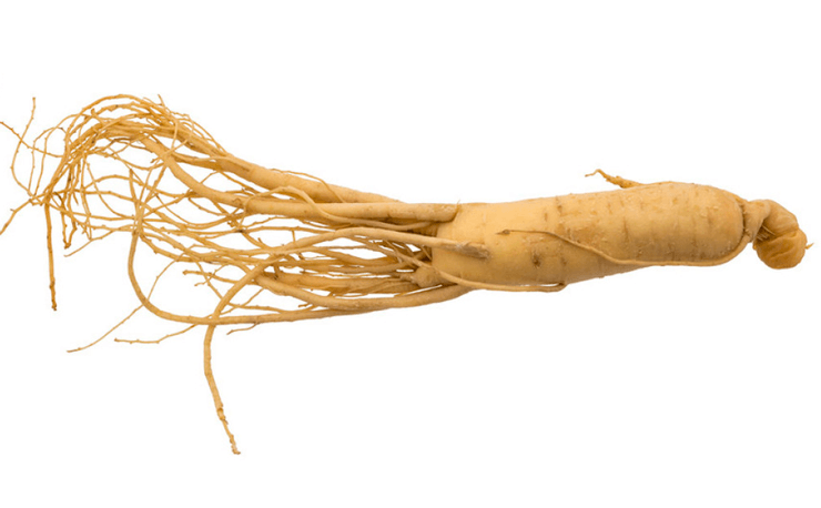 ginseng root extract