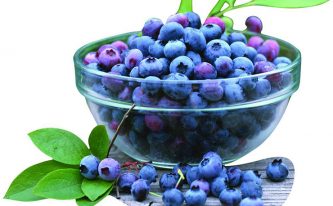 bilberry-extract