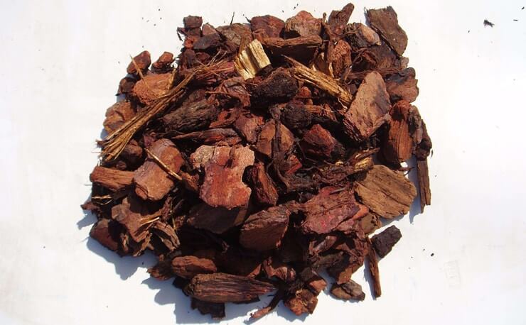 pine-bark-extract