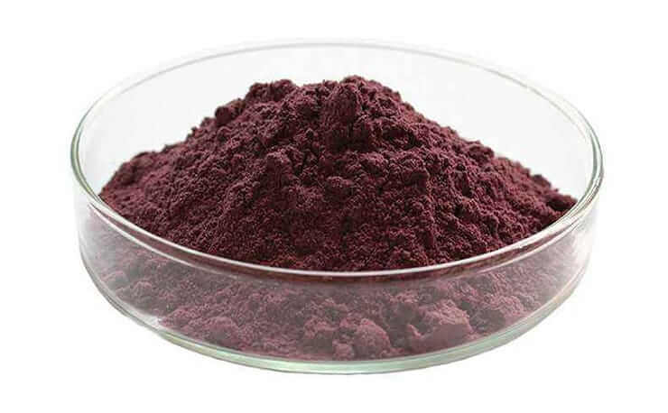 Grape Seed Extract Powder