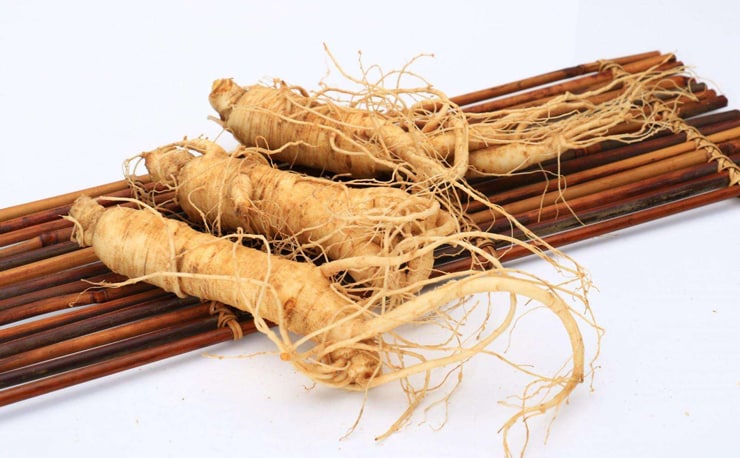 Panax-Ginseng