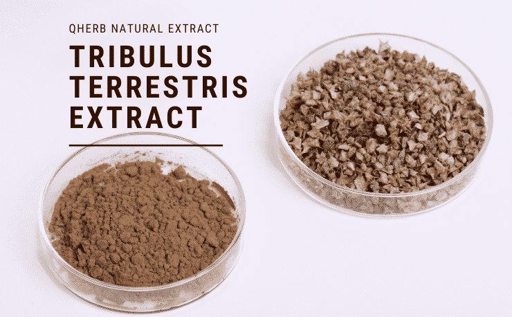 Tribulus Terrestris Extract