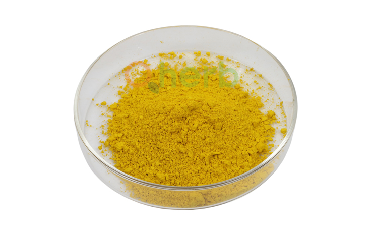 Quercetin Powder