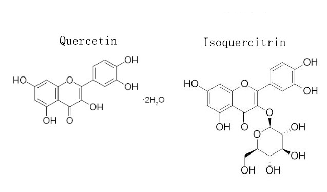 Quercetin Powder