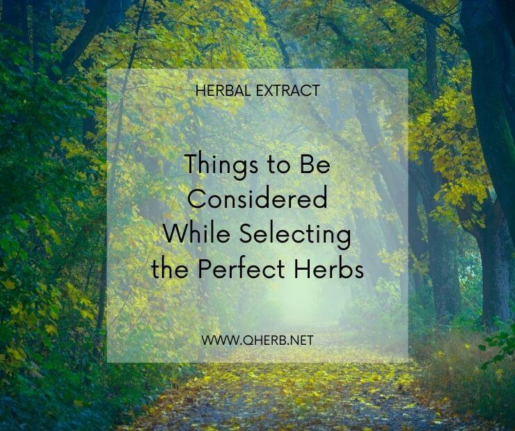 Herbal extract