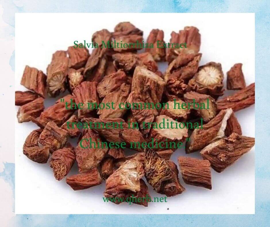 Salvia Miltiorrhiza Extract