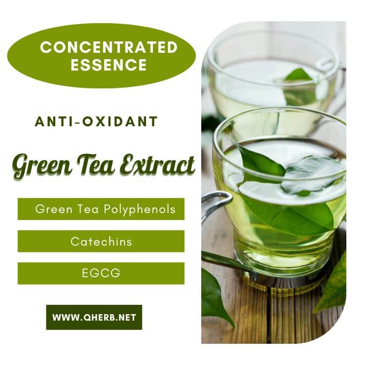 Green tea extract polyphenol