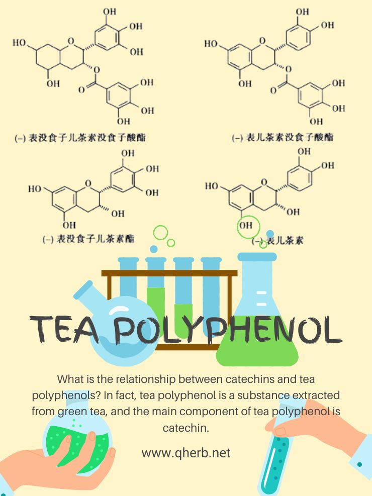 Tea Polyphenol