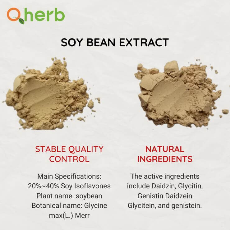 Soy bean extract