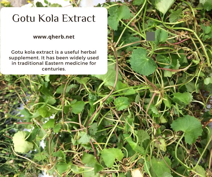 Gotu Kola Extract