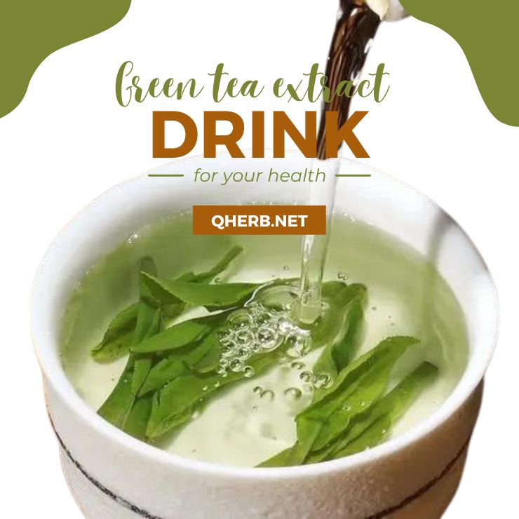 green tea extract drink
