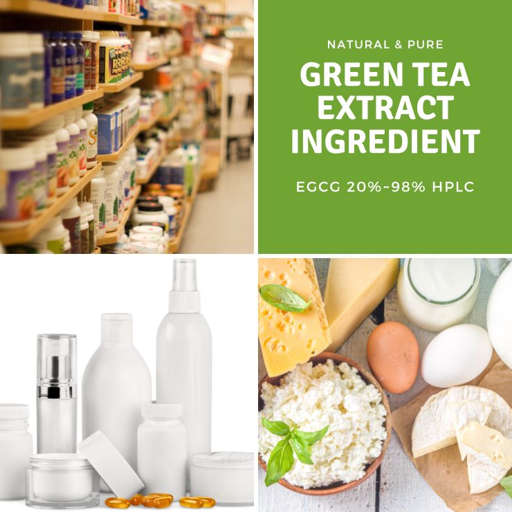 green tea extract ingredient