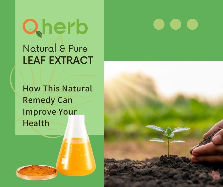 Leaf Extract