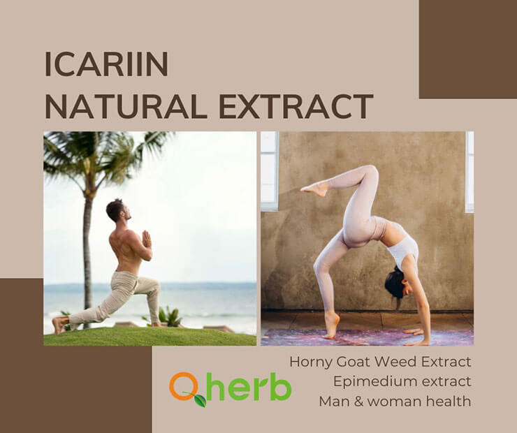 icariin extract