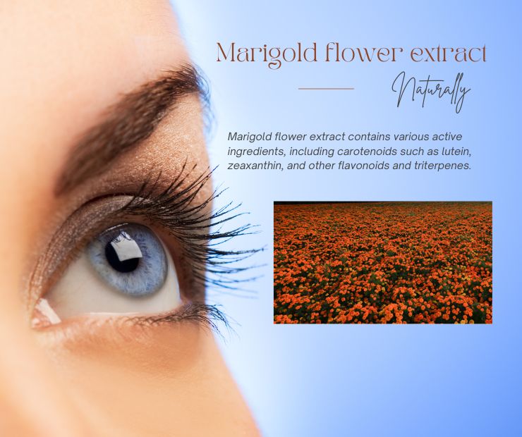 marigold flower extract