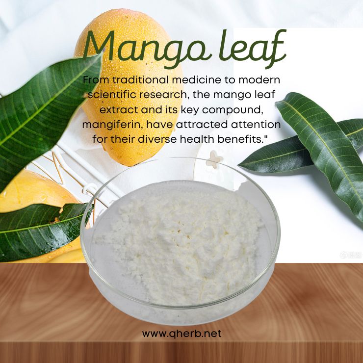 Mango Leaf Extract