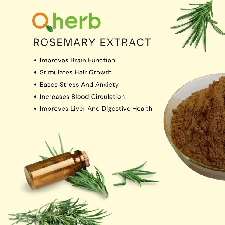 Rosemary Extract