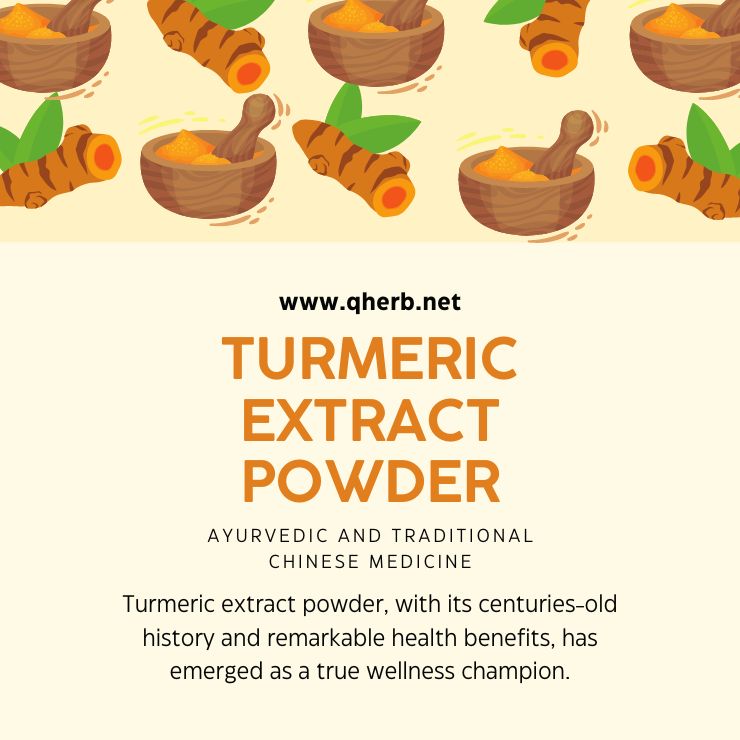 Turmeric Extract Powder