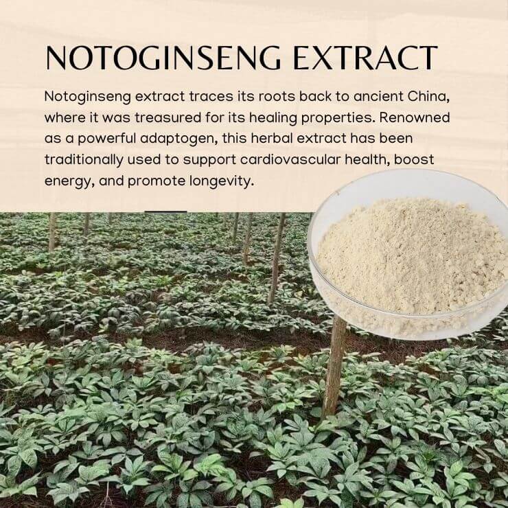 Notoginseng Total Saponins