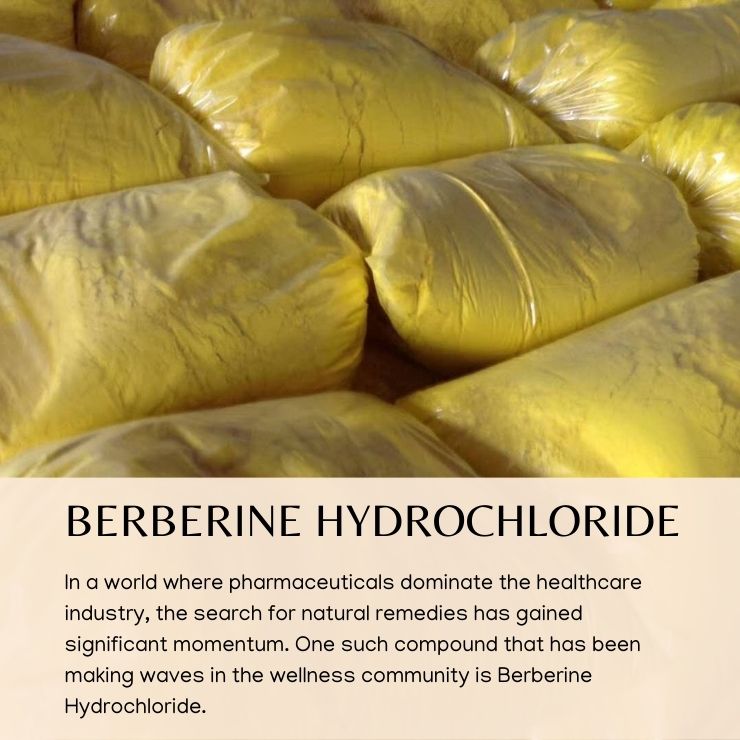 Berberine Hydrochloride