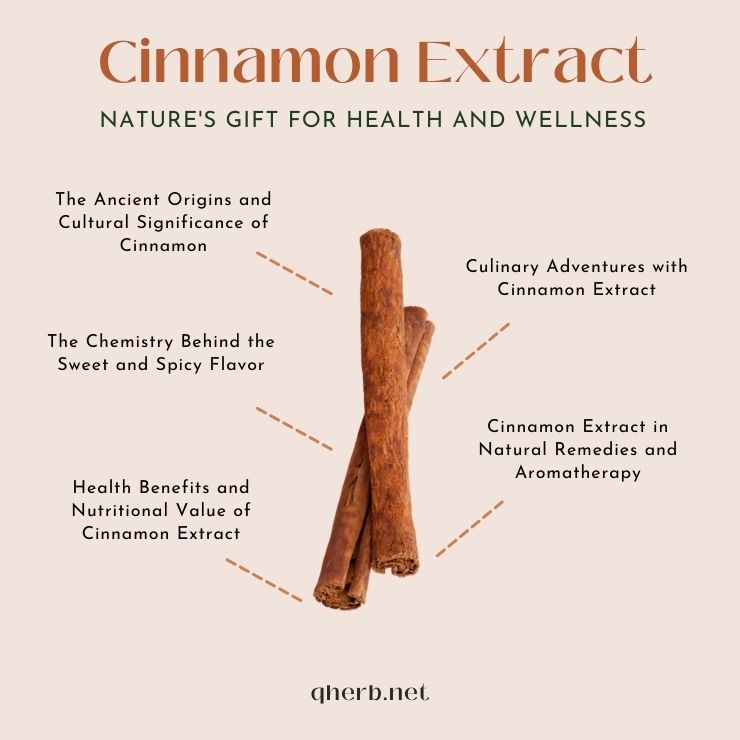 Cinnamon extract