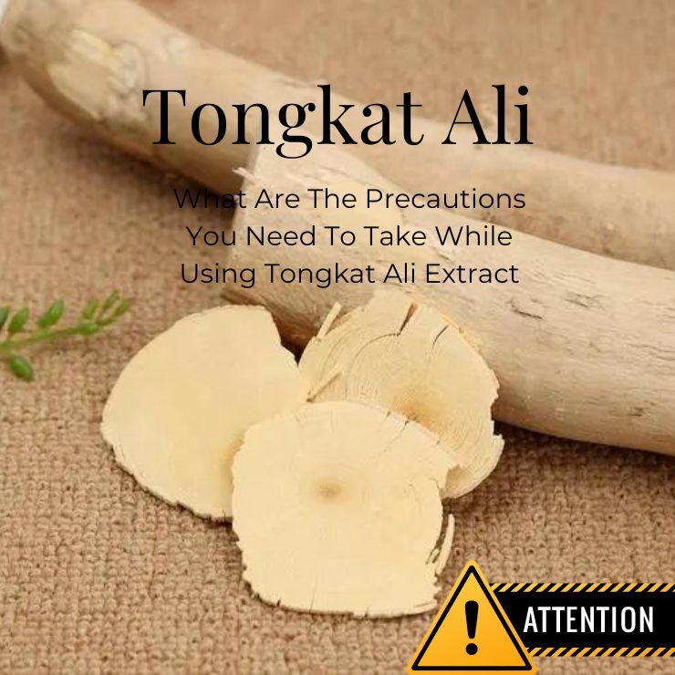 Tongkat Ali 