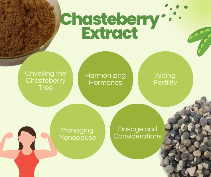 Chasteberry Extract