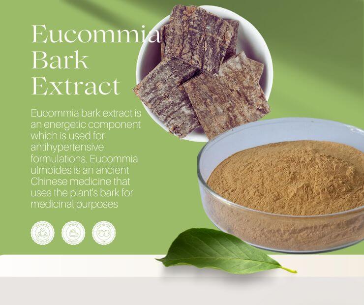 Eucommia Bark Extract