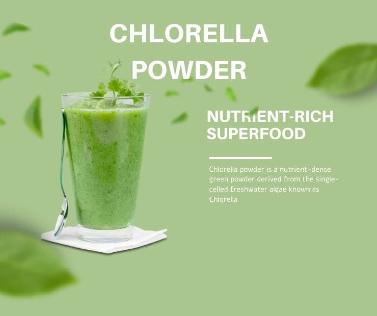 Chlorella Powder