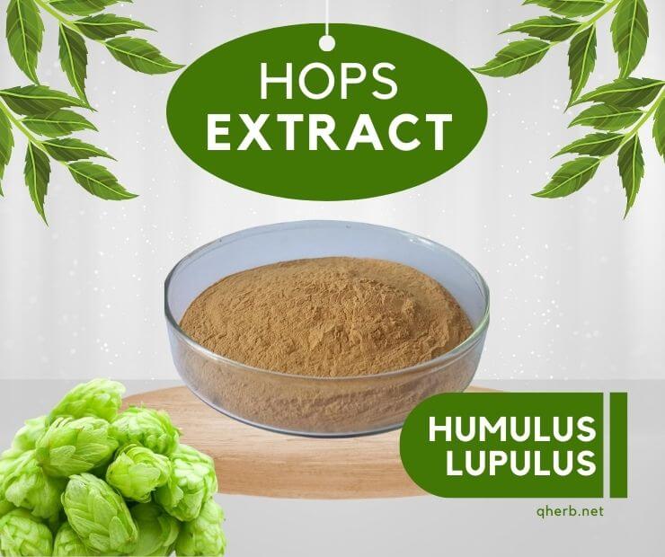 hops extract benefit