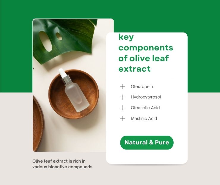 Olive leaf extract compounds