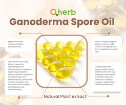 Ganoderma Spore Oil