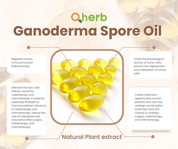 Ganoderma Spore Oil