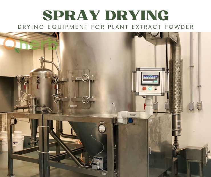 Spray Drying